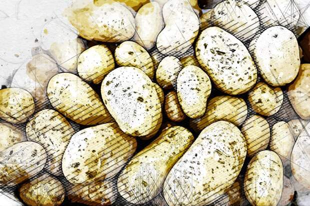 В Орловской области цены на картошку устремились ввысь