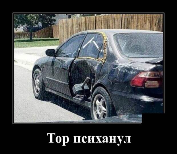 Демотиваторы (30 фото)
