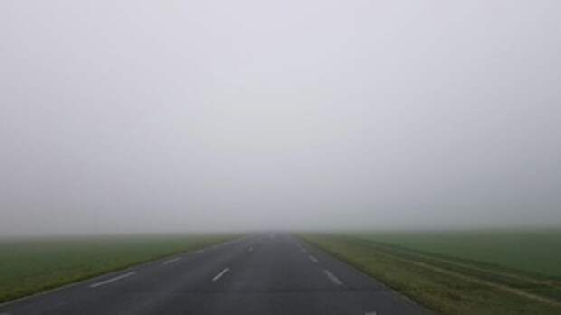 Фото: Elizabeth Jamieson / unsplash.com