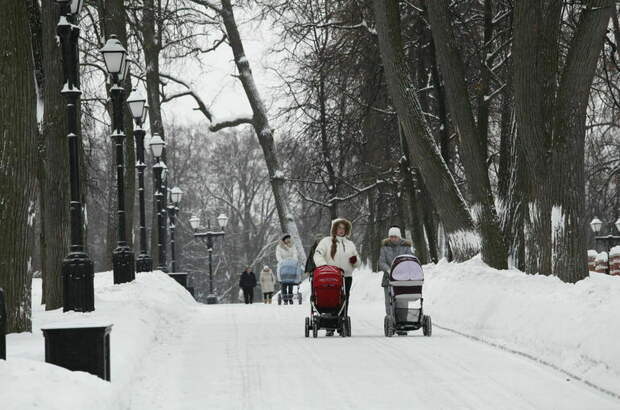 Морозы до -20 сохранятся в Москве и Подмосковье до следующих выходных