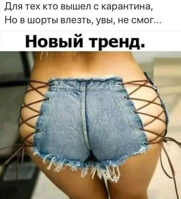 Новый тренд Новый тренд