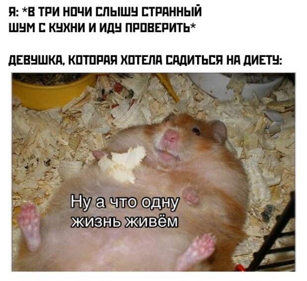 Смешные картинки 4 ноября 2021 года