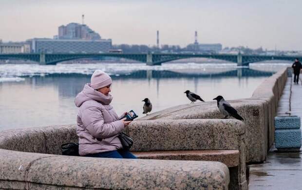 Облака и дожди не дадут прогреться Петербургу 19 марта