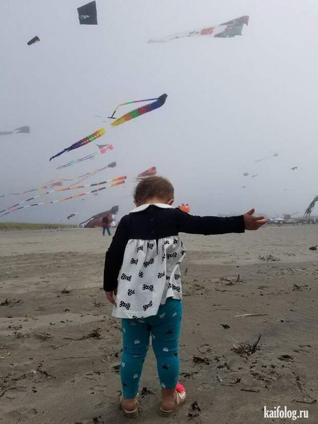 Приколы (55 фото)