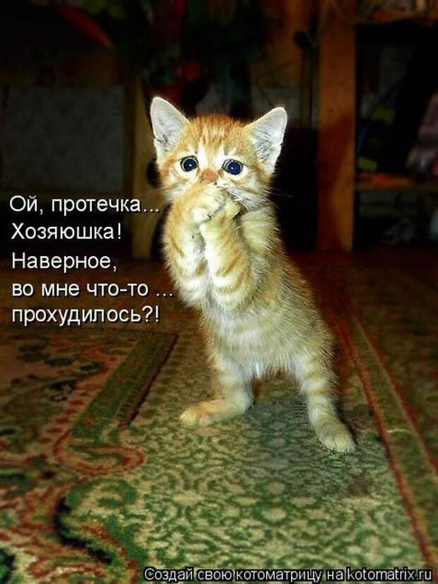 Мысли вслух :)