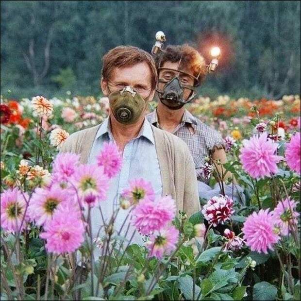 Прикольные картинки в ассортименте!!!