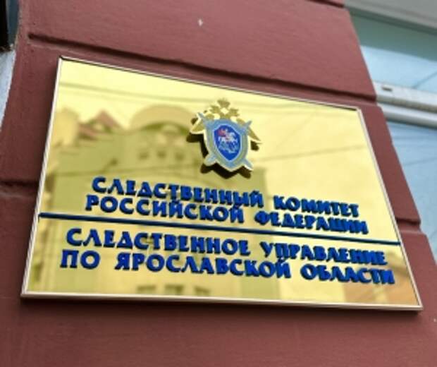 Председатель СК России поручил возбудить уголовное дело по факту противоправных действий мужчины в Ярославской области