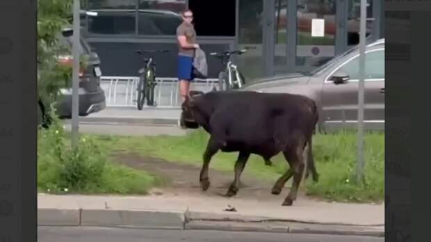 Фото: тг-канал 112