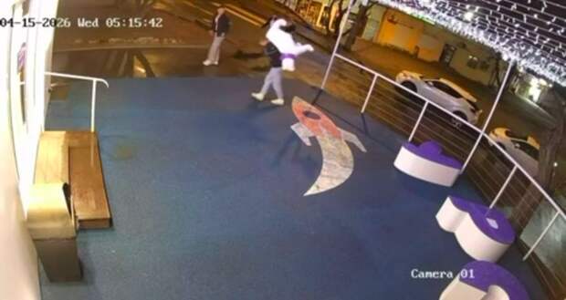 Украденного «белого медведя» разыскивают во Владивостоке