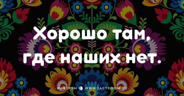 20 смешных современных поговорок, которых вы ещё не слышали 20 смешных современных поговорок, которых вы ещё не слышали