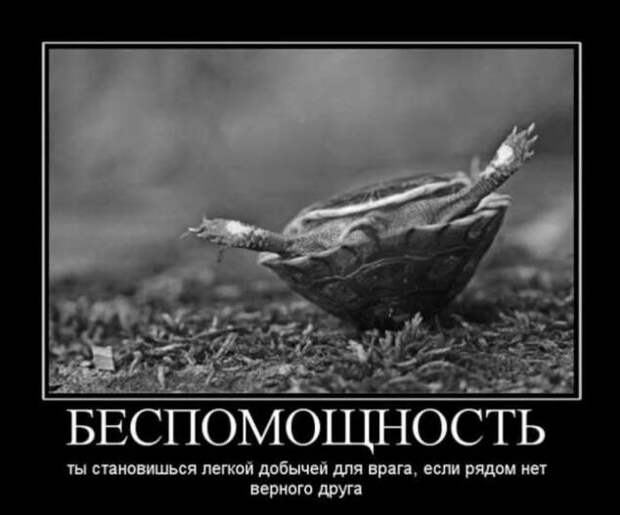 Прикольные демотиваторы с надписями. Подборка chert-poberi-dem-chert-poberi-dem-14080424072020-9 картинка chert-poberi-dem-14080424072020-9