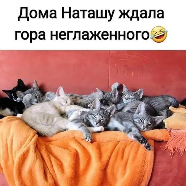 И создал Господь Бог человека и велел ему царствовать над всякими тварями и гадами. А в жизни получается - наоборот... И создал Господь Бог человека и велел ему царствовать над всякими тварями и гадами. А в жизни получается - наоборот... скорость, которые, чтения, хорошая, системы, назад, марта, может, сильно, россиян, Оказывается, открытие, организма, ошеломляющее, сделали, обеспечения, программного, хотелаПроизводители, убить, детстве