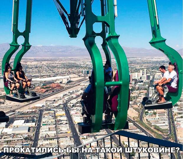 Прикольные картинки с надписями для веселья (11 фото)