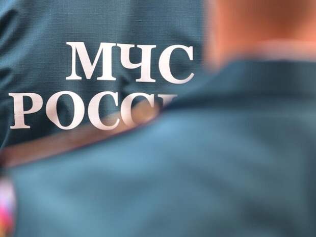 МЧС планирует в 5 раз увеличить численность саперов для разминирования территорий