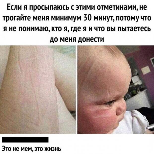 23 фото, глядя на которые, можно сказать: бывает же такое!