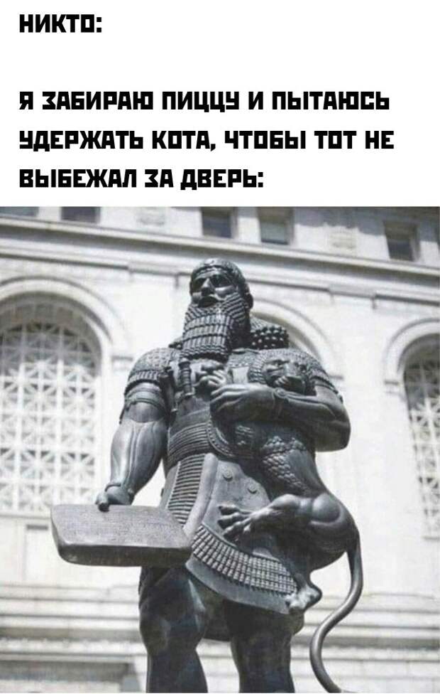 Смешные картинки 16 июля 2021