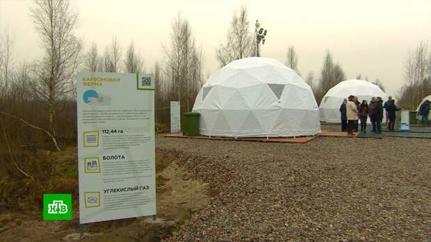 Ответ на «зеленый диктат» Европы: в России открылся необычный карбоновый полигон