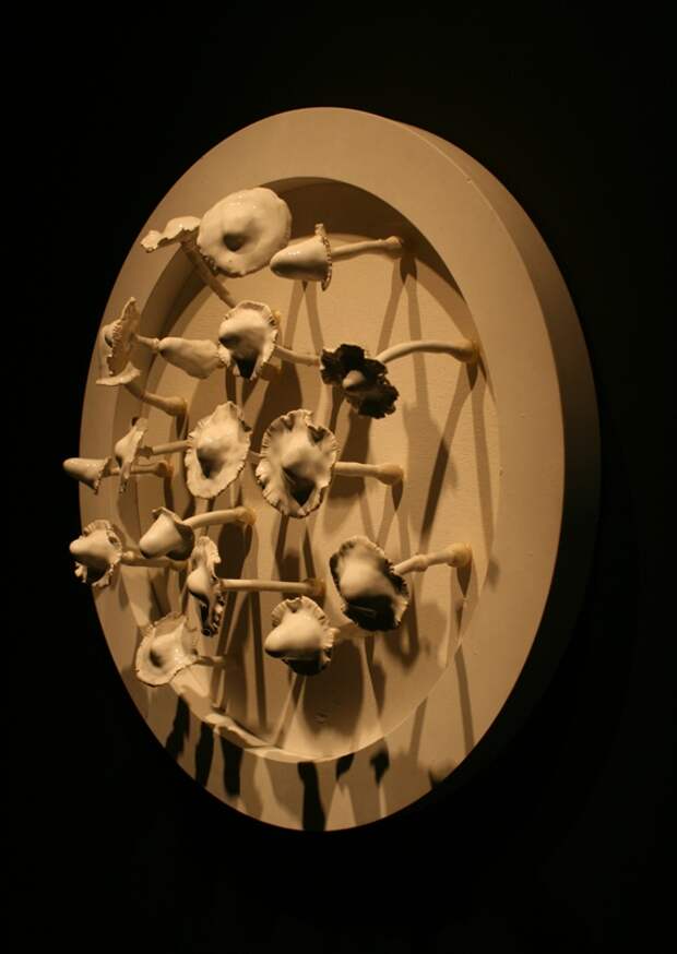 0949.jpg 0949.jpg