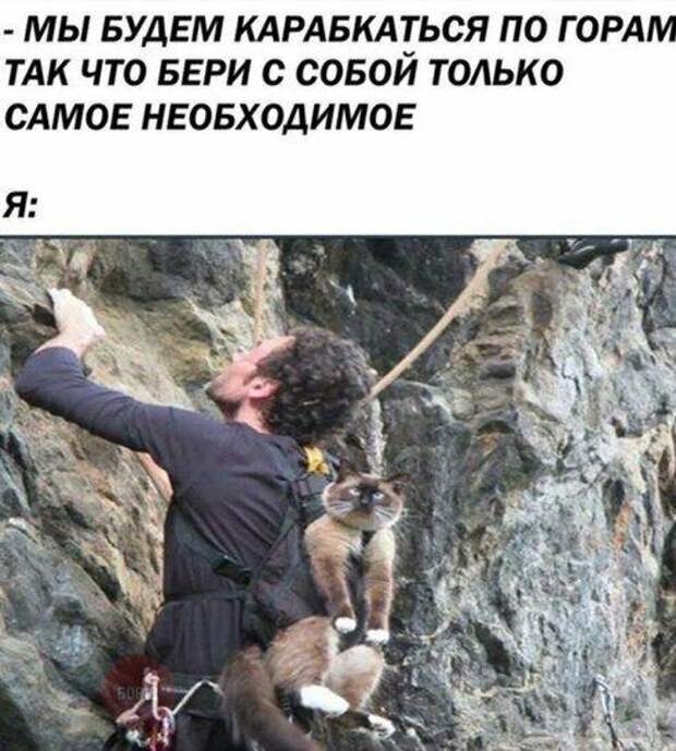 Подборка супер ржачных до слез картинок и мемов