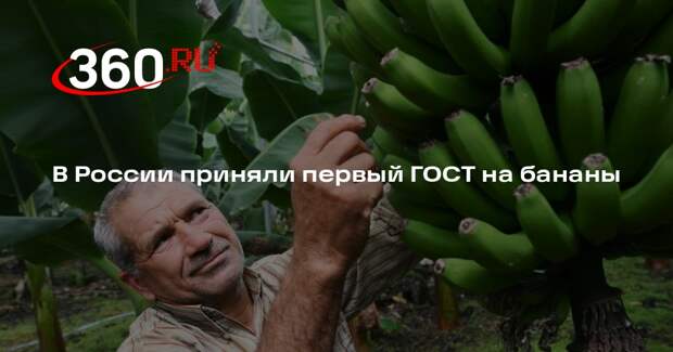 В России приняли первый ГОСТ на бананы