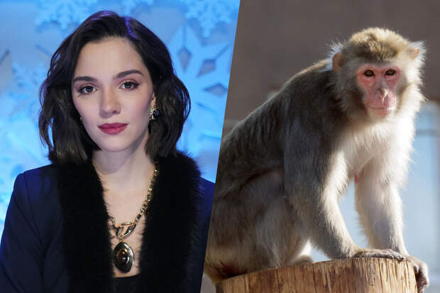 Фигуристка Евгения Медведева стала опекуном японского макака