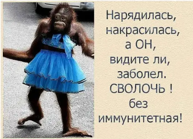 Бабка с дедом решили вспомнить молодость. Дед купил цветы, пришел...