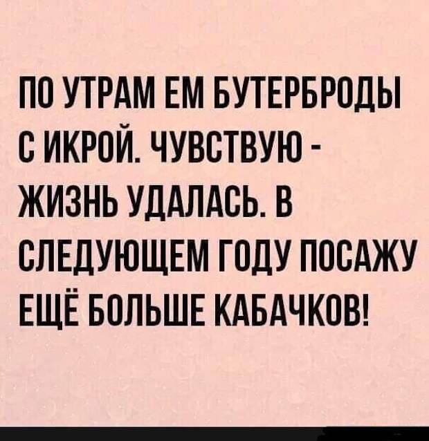Жизнь удалась Жизнь удалась