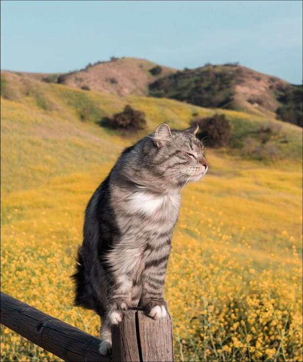 фото приколы