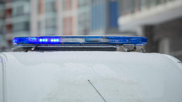 «Пациент не бредил!» — россиянин упал с Эйфелевой башни и выжил