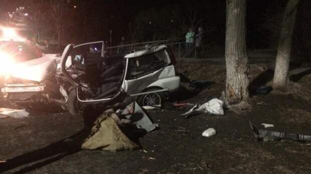 В Приморье автомобиль врезался в дерево: двое погибших, шестеро пострадавших
