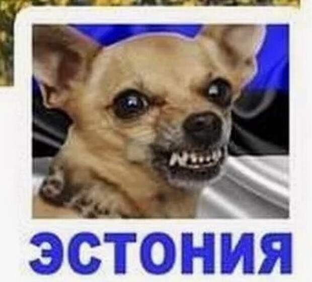 Неуважение к России стоило дорого Эстонии. Поплатились
