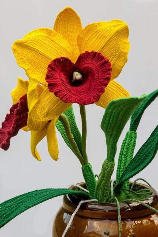 Орхидея - фото из интернета.