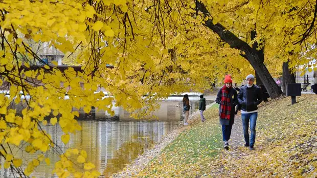 Опрос: россияне рассказали о влиянии осени на их настроение и здоровье