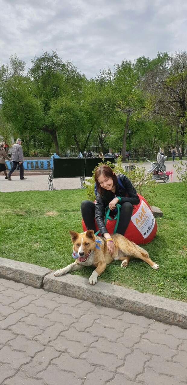 Хозяева не пустили собственного пса домой после прогулки Хозяева не пустили собственного пса домой после прогулки