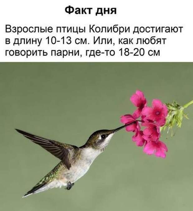 Нестандартный юмор :)