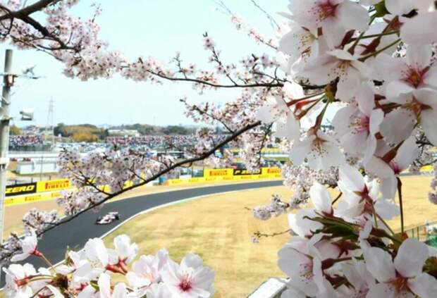 Расписание трансляций Гран При Японии Формулы 1 2026 года