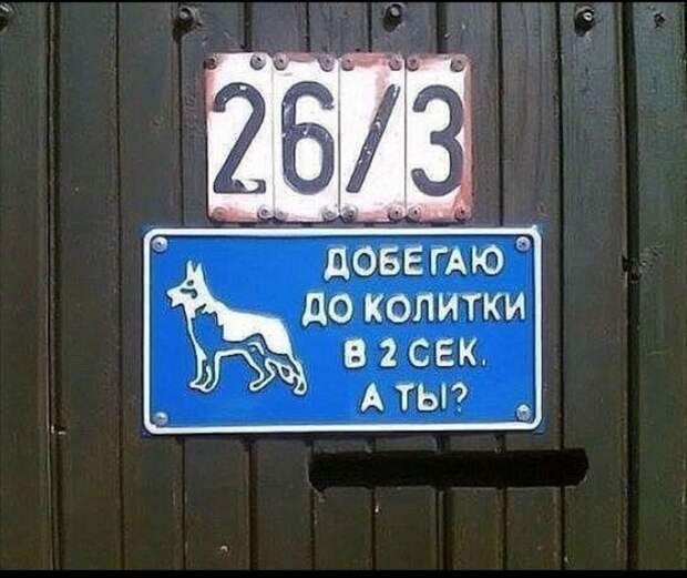 Пусть бежит до колитки, я в калитку войду
