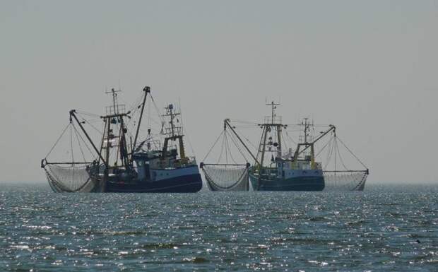 Daily Express: Экспорт рыбы из России в Европу бьёт рекорды