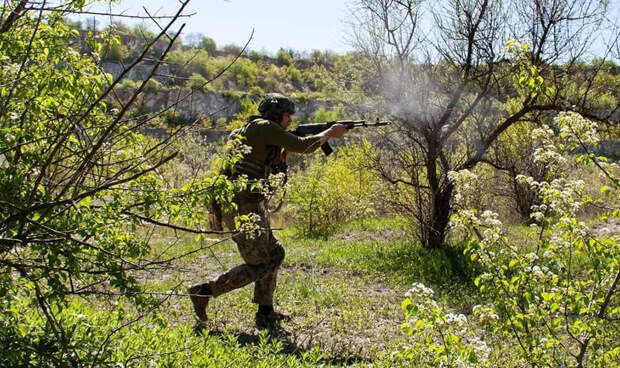 Рогов: Украинские пограничники расстреливают убегающих от мобилизации украинцев