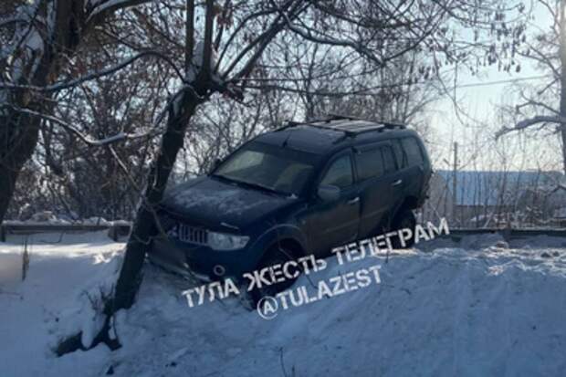 Внедорожник влетел в дерево в Тульской области