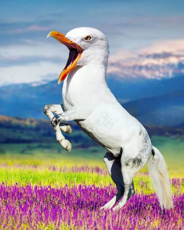 Гибриды животных в Photoshop