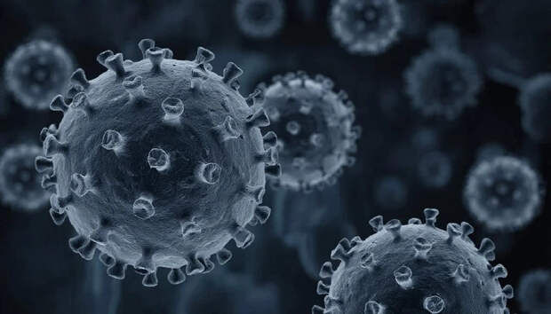 В Подмосковье подтвердили случай оспы обезьян у "невыездного" пациента