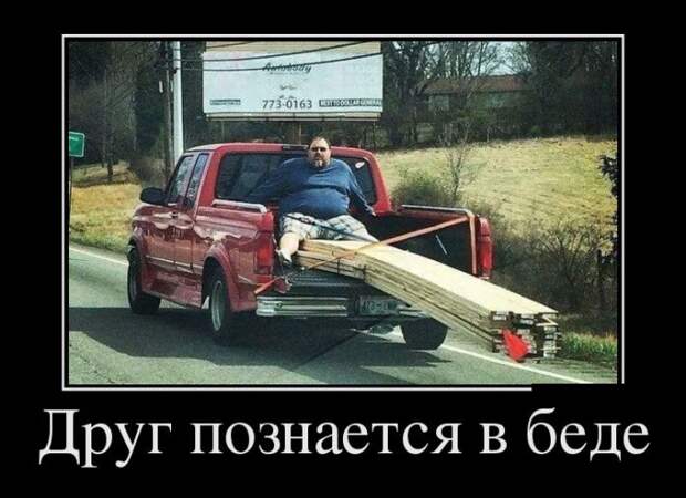 Демотиваторы (30 фото)