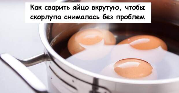 Как сварить яйцо вкрутую, чтобы скорлупа снималась без проблем