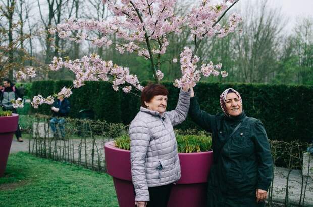Парк цветов Keukenhof, апрель 2018 путешествия, факты, фото