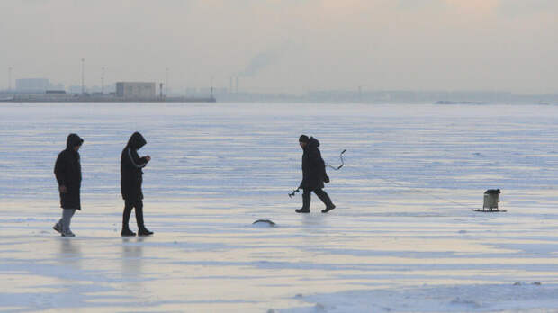 Финский залив полностью замерзнет впервые за 15 лет