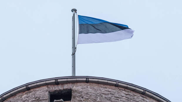 Бизнес в Эстонии оказался под угрозой: кризис ударил по крупным проектам