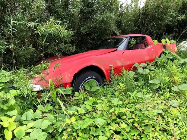 Автокладбище, на котором есть только Chevrolet Corvette C3