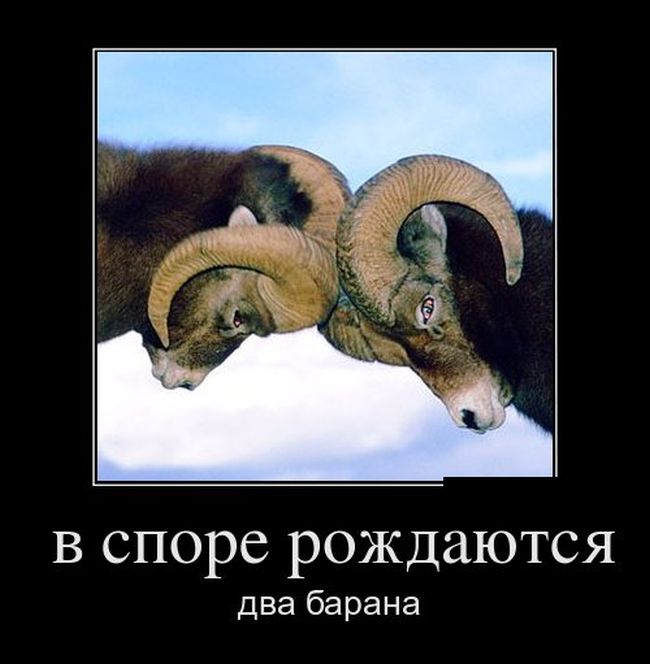 Демотиваторы (30 фото)