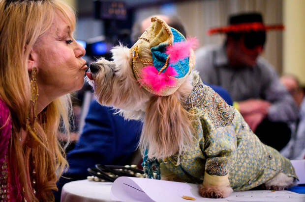New York Pet Fashion Show